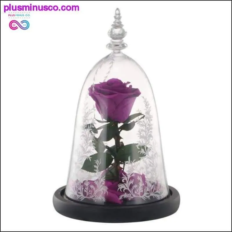 Beauty and the Beast Red Rose in a Glass Dome with LED Light