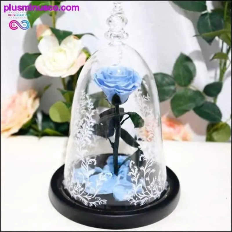 Beauty and the Beast Red Rose in a Glass Dome with LED Light