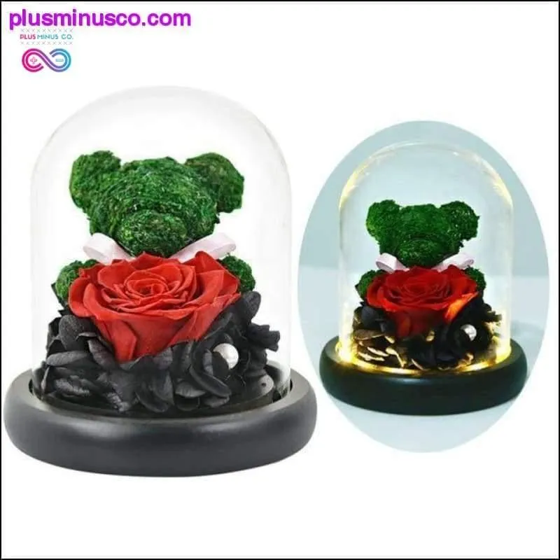 Beauty and the Beast Red Rose in a Glass Dome with LED Light