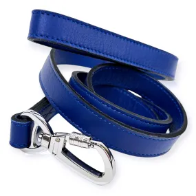 Belmont Dog Leash in Cobalt Blue & Nickel