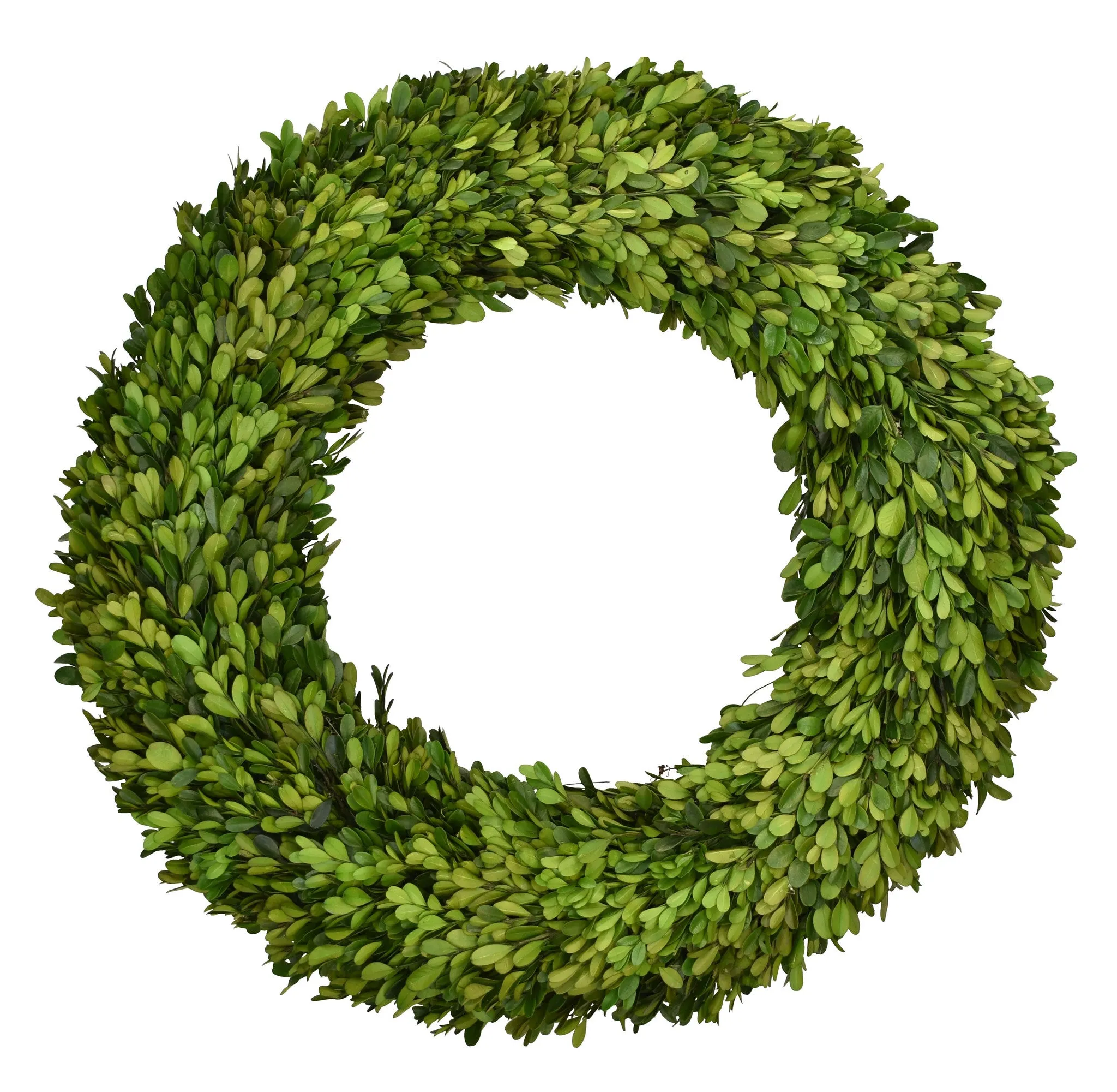 Boxwood Country Manor Wreath - Round - 20 in