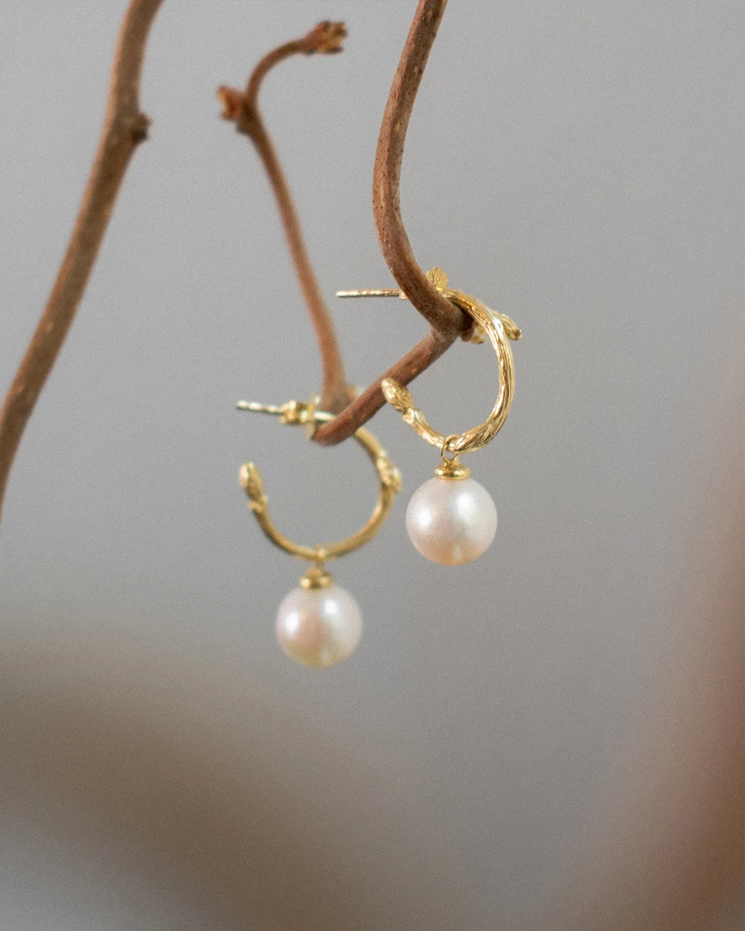 Branch pearl hoops gold