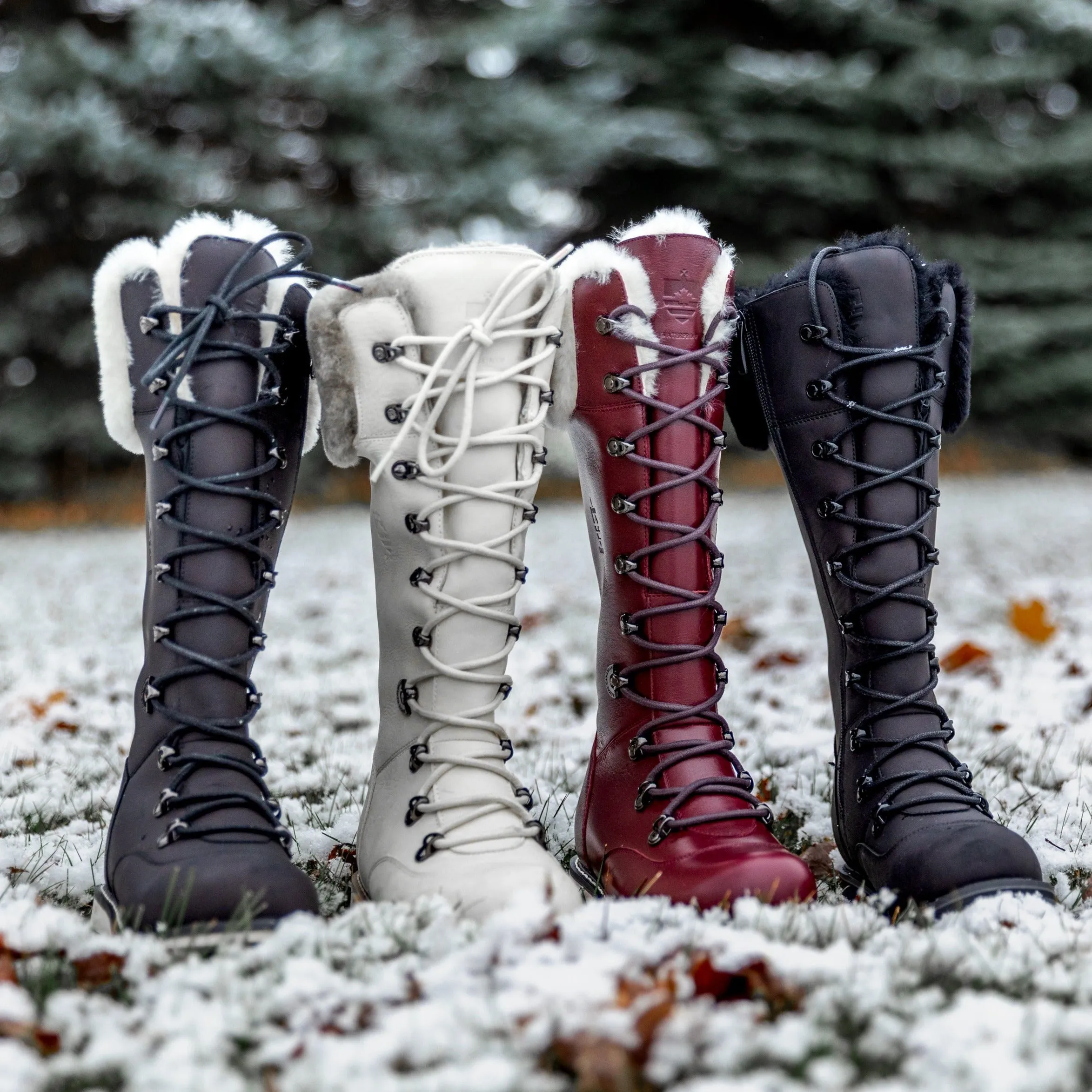 DALHOUSIE | Women's Winter Boot Black Lager