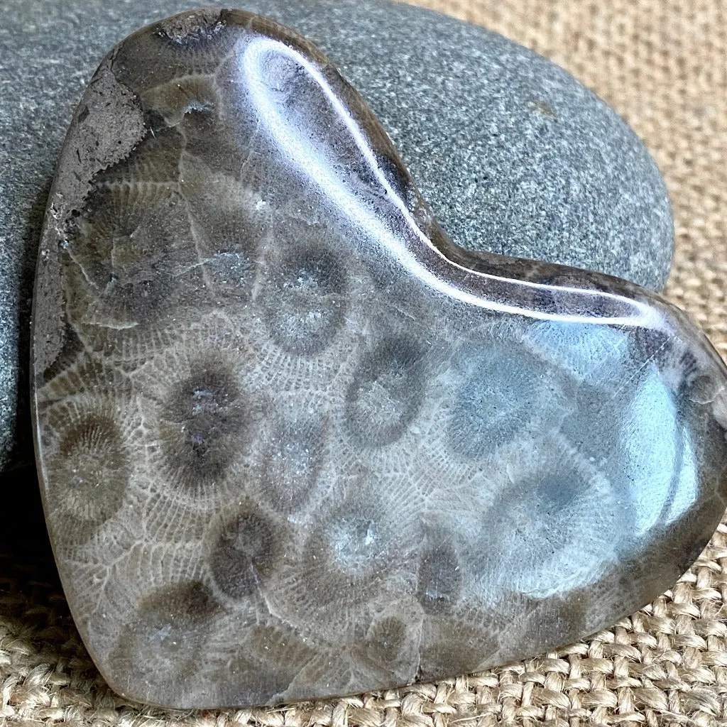 Jumbo Tumbled Shungite & Petoskey Stone Heart in Olive Wood Bowl