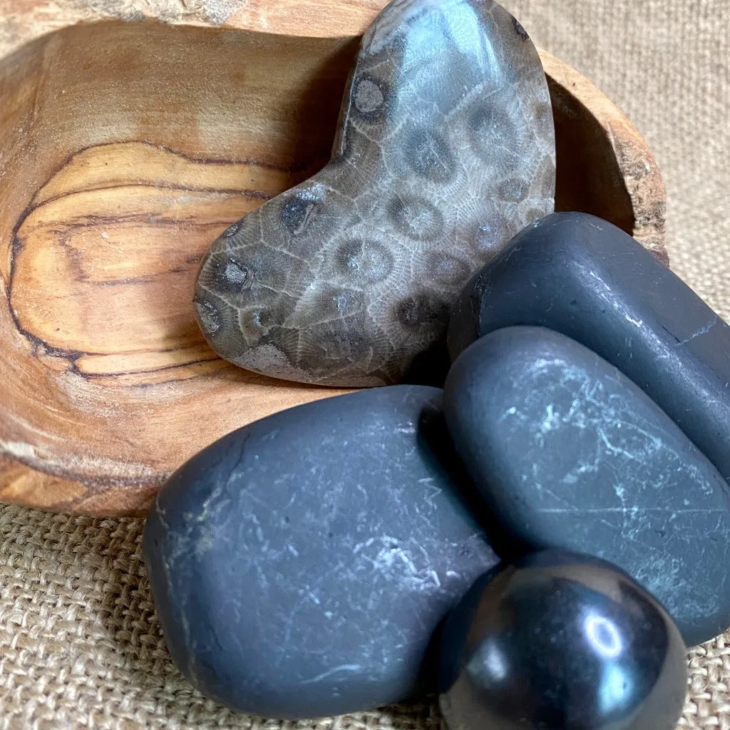 Jumbo Tumbled Shungite & Petoskey Stone Heart in Olive Wood Bowl