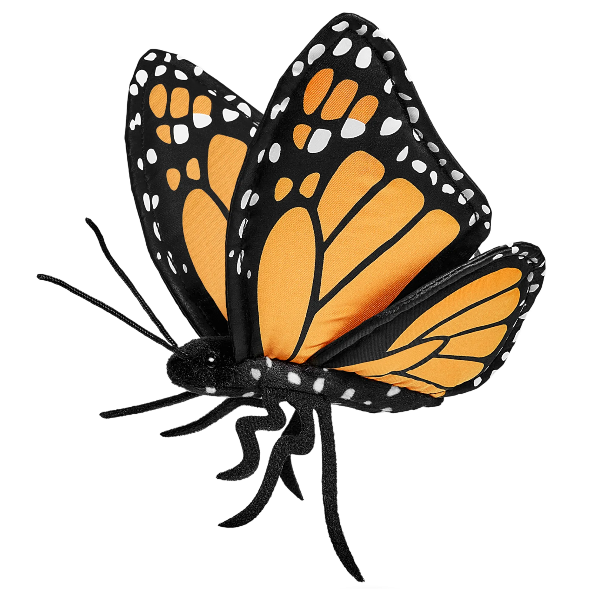 Monarch butterfly