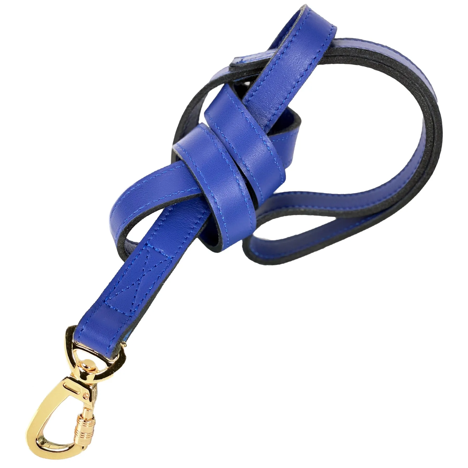 Regency Dog Leash in Cobalt Blue & Gold