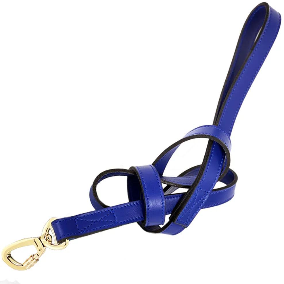 Regency Dog Leash in Cobalt Blue & Gold