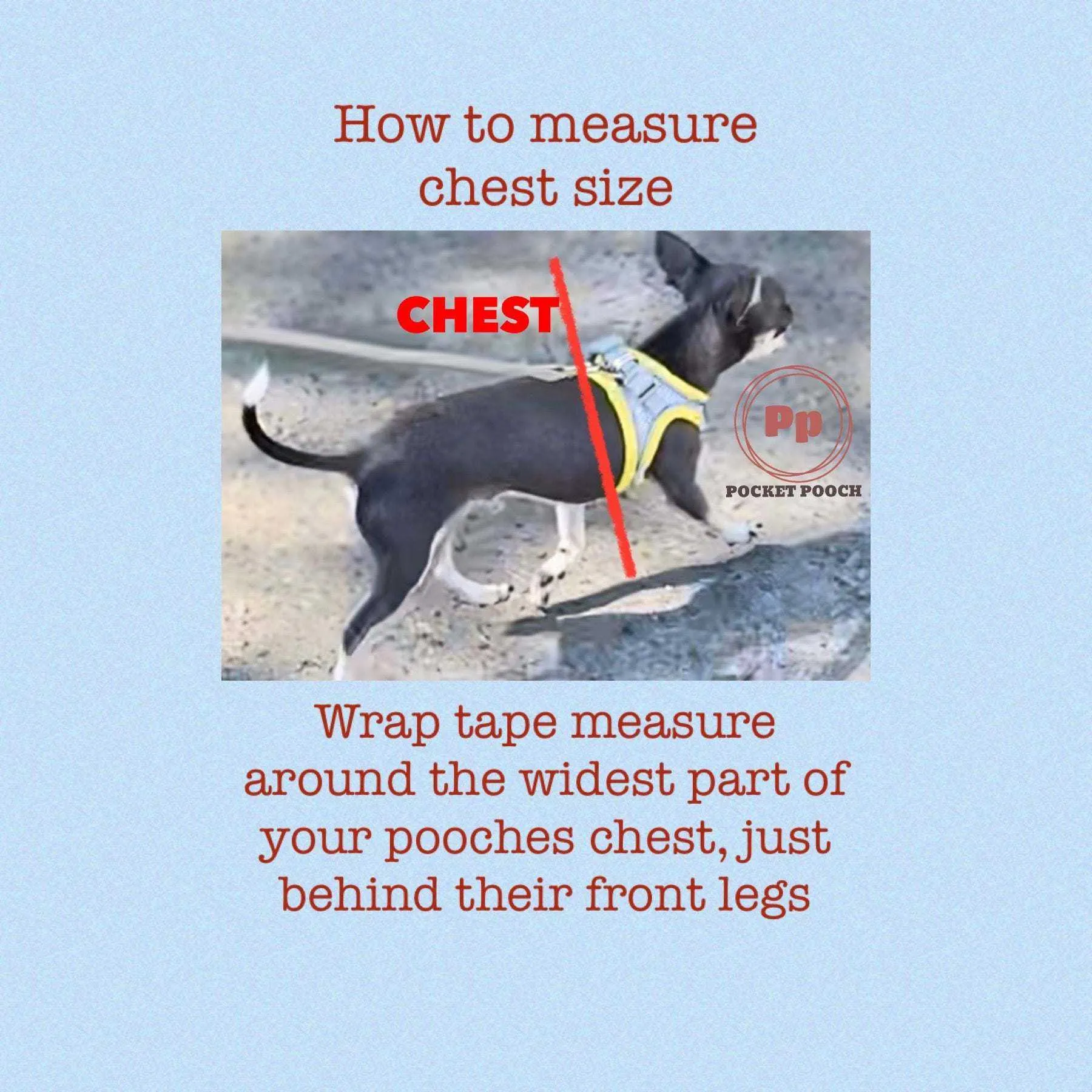 Waterproof Harness and Leash set, adjustable 20-50cm Chest, Handmade by Pocket Pooch,